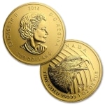 Złota moneta Zew Natury Orzeł Złoty 1 oz