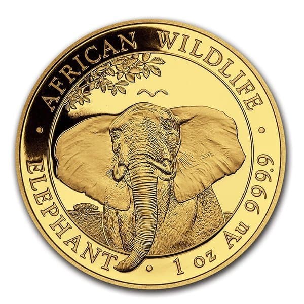 Złota moneta Somalijski Słoń 1 oz rewers