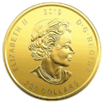 Złota moneta Zew Natury Łoś 1 oz awers