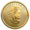 Złota moneta Liść Klonowy 1/10 oz 2021 awers