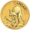 Złota moneta Australijski Kangur 1/10 oz 2022 rewers